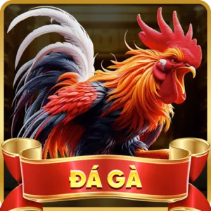 Đá gà